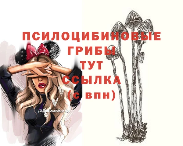 мяу мяу мука Алексеевка