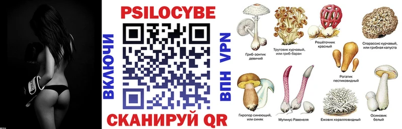 Галлюциногенные грибы MAGIC MUSHROOMS хочу kraken ссылки Лесосибирск
