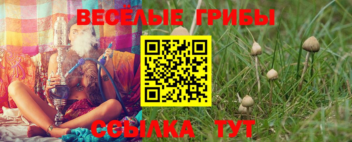 Псилоцибиновые грибы мухоморы Лесосибирск