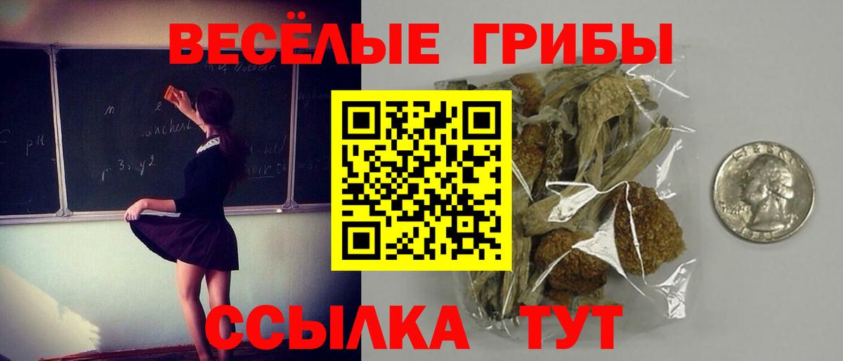 Галлюциногенные грибы Magic Shrooms Лесосибирск