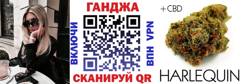 Каннабис план  что такое наркотик  Лесосибирск 