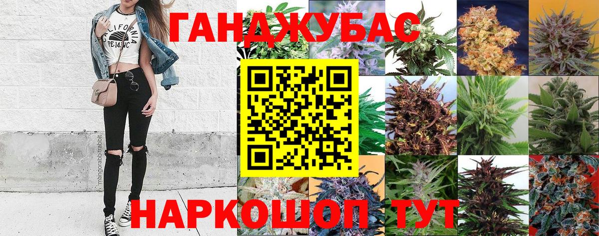 Шишки марихуана тримм  Канабис марихуана  Вход с VPN  Марихуана Bruce Banner  Лесосибирск 